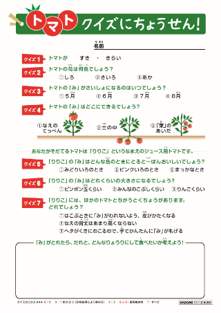教材の画像です。