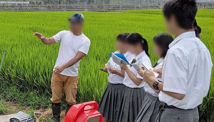 活用事例　大阪府立農芸高等学校